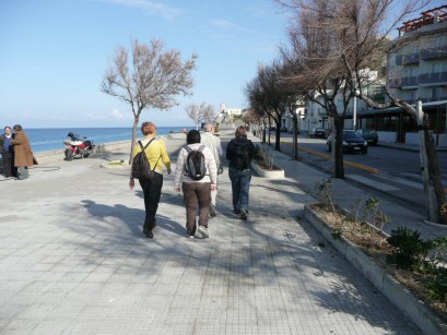 EFOG Sicily